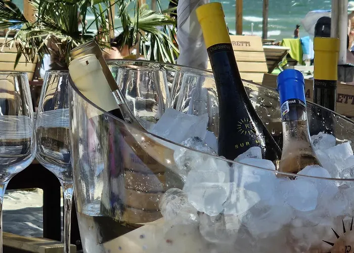 Hotel Manor Navodari