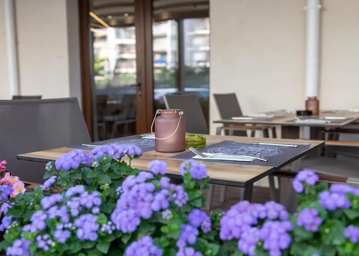 Hotel Manor Navodari