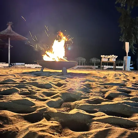 Manor فندق
